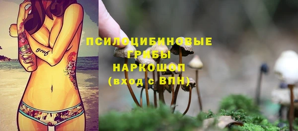 индика Ростов