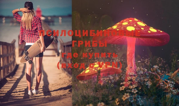 твердый Пролетарск