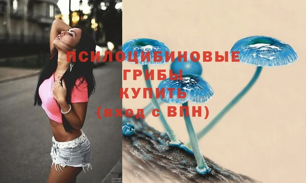 ALPHA PVP Протвино