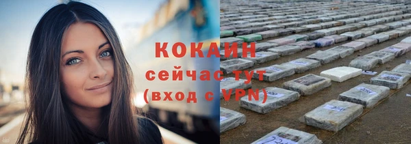 молекула духа Приозерск